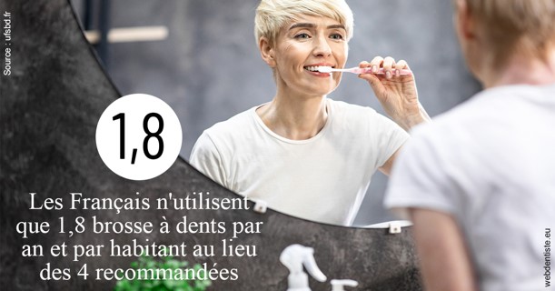 https://scp-chirurgien-dentiste-anais-freckhaus.chirurgiens-dentistes.fr/Français brosses 2