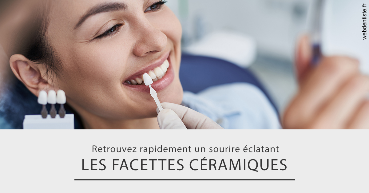 https://scp-chirurgien-dentiste-anais-freckhaus.chirurgiens-dentistes.fr/Les facettes céramiques 2