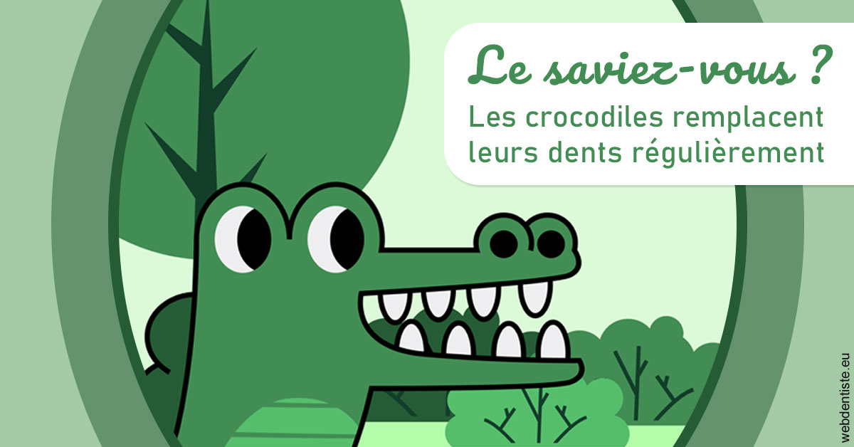 https://scp-chirurgien-dentiste-anais-freckhaus.chirurgiens-dentistes.fr/Crocodiles 2